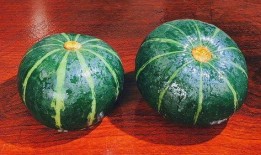 贝贝瓜不能和什么吃,贝贝瓜相克食物大盘点