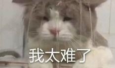 吃瓜吐娱,揭秘娱乐圈背后的故事与真相