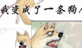 聚会吃瓜小说免费阅读,一场别开生面的聚会吃瓜小说免费阅读之旅