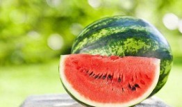 阆中酒窝酒吧吃瓜,一场别开生面的吃瓜盛宴