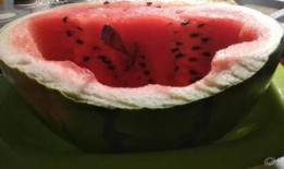 吃瓜的大勺子,娱乐圈幕后风云录