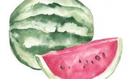 吃瓜的后果3,揭秘网络舆论的蝴蝶效应