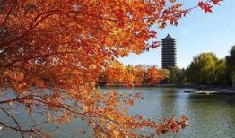 未名湖吃瓜,一场校园文化的狂欢