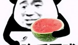 吃瓜心路历程,吃瓜群众的成长心路历程