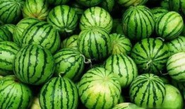 九方吃瓜,揭秘娱乐圈幕后故事