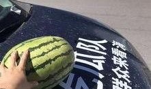 吃瓜的车队,一场别开生面的夏日狂欢之旅