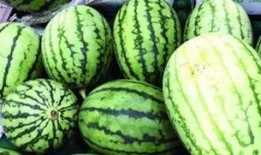 快速吃瓜后续,揭秘娱乐圈风云再起