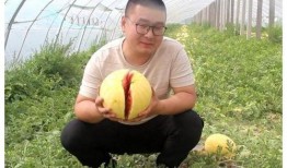 吃瓜网友小骆,揭秘娱乐圈那些不为人知的幕后故事