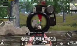 吃鸡视频呆瓜,欢乐搞笑，带你领略游戏魅力