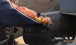 小胖马龙吃瓜,揭秘娱乐圈幕后故事