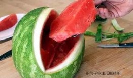 吃瓜大鲨鱼,揭秘吃瓜大鲨鱼的趣味生活