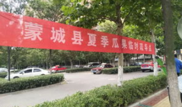 蒙城吃瓜群众,揭秘当地热点事件背后的故事