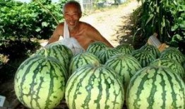 吃瓜带勾的,揭秘娱乐圈背后的勾心斗角