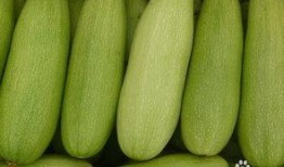 印度白瓜怎么吃,探索美味与健康的完美结合