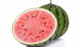 吃瓜就吃麒麟瓜,麒麟瓜，吃瓜就吃它！