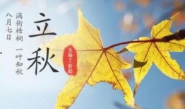 立秋几点 吃瓜呀,瓜果飘香，吃瓜指南大揭秘！