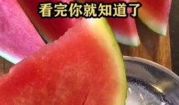 日本吃瓜加盐,吃瓜加盐的奇妙体验