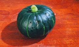 贝贝瓜不能和什么吃,贝贝瓜相克食物大盘点