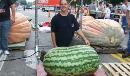 吃瓜吐娱,揭秘娱乐圈背后的故事与真相