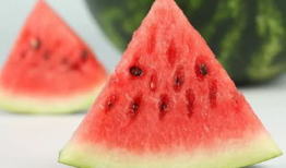 吃瓜拍西瓜,吃瓜拍西瓜，趣味生活新体验