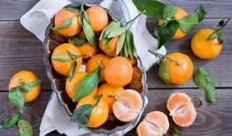 桔子吃蜜瓜微视,微视创意美食之旅