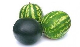 西北农林吃瓜事件,一场校园风波的反思与启示