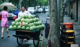 路边吃瓜的危害,揭秘潜在危害与预防措施