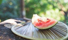 吃瓜看料入口,吃瓜看料，洞察明星幕后故事