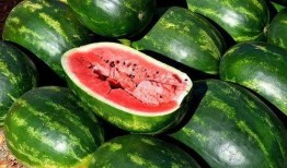 吃瓜视频素材亲嘴,吃瓜视频捕捉到的亲嘴镜头