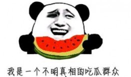 吃瓜很无语