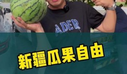 坐等实现吃瓜自由,解锁“吃瓜自由”的奇幻旅程