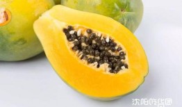 黄老板吃瓜,揭秘娱乐圈幕后真相