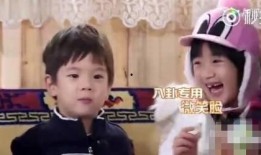 吃瓜小分队明星,明星们的幕后故事与真实生活