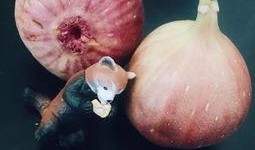 吃西瓜留住瓜芯,巧留瓜芯，美味升级