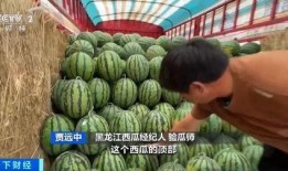 吃瓜群 吃瓜大合集,揭秘网络热议背后的真相与笑料