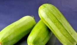小孩吃西葫芦瓜,西葫芦瓜的营养盛宴