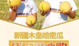 爱心吃瓜解说全集