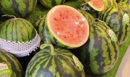 每日聪慧吃瓜上海,上海街头巷尾的智慧生活点滴