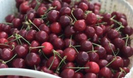 吃瓜的红果果,揭秘娱乐圈那些事儿