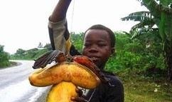 青蛙哥吃瓜,一场味蕾与智慧的较量