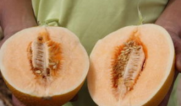 吃瓜的后果3,揭秘网络舆论的蝴蝶效应