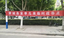 蒙城吃瓜群众,揭秘当地热点事件背后的故事