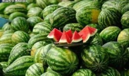 吃瓜拍单,揭秘网红美食背后的秘密