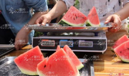 专业吃瓜选手,专业吃瓜选手带你领略幕后风云