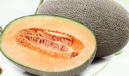 宝宝吃哈密瓜肚子痒,揭秘原因及应对方法