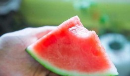 享受吃瓜乐趣,揭秘吃瓜群众的欢乐时光