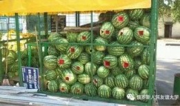 摊位吃瓜小品,趣味横生的市井小品