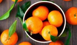 桔子吃蜜瓜微视,微视创意美食之旅