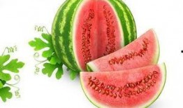 会长吃瓜大小s,揭秘娱乐圈幕后真相