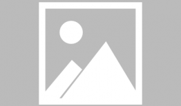 吃瓜游戏口号,跟随吃瓜游戏口号，畅游欢乐时光